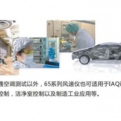 加野 65 Ser智能型环境测试仪图2