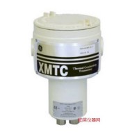 Druck XMTC热导式气体变送器