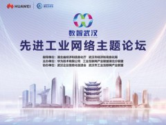 《网络体系强基展望白皮书》在武汉发布