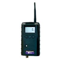 华瑞 FTD-2000/3000无线单一气体检测仪