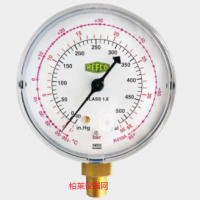 威科 M2-250-DS-R22 波登管压力计