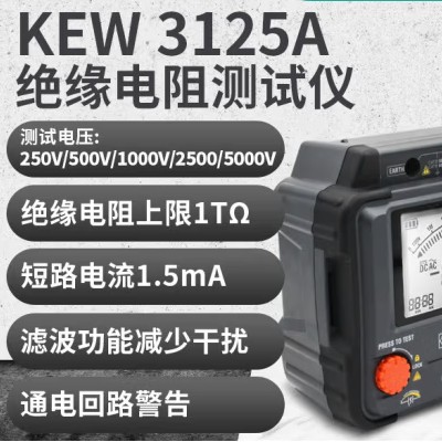 KEW3125A高压绝缘电阻测试仪图2